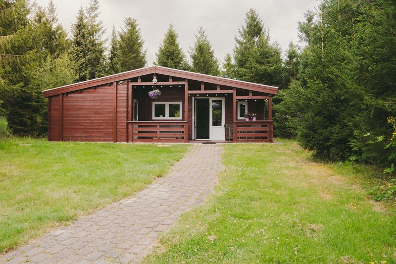 Klinkerpad naar het donkerrode houten chalet met overdekte veranda, tussen de sparren