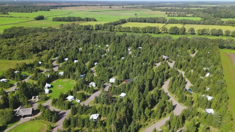 Het landgoed van boven: kampeerplaatsen tussen de sparren, met de weilanden van het Drentsche Aa-gebied erachter