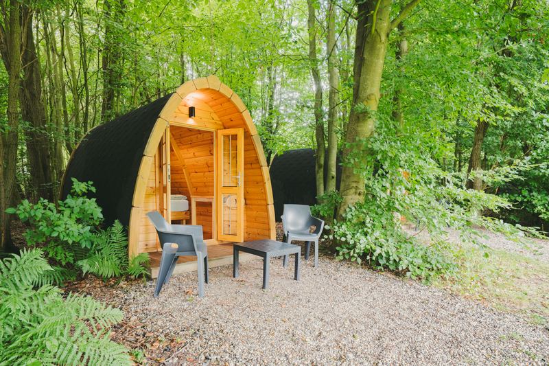 Houten trekkershut met open deuren en een zitje op grind, tussen varens en beuken